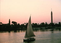 felucca